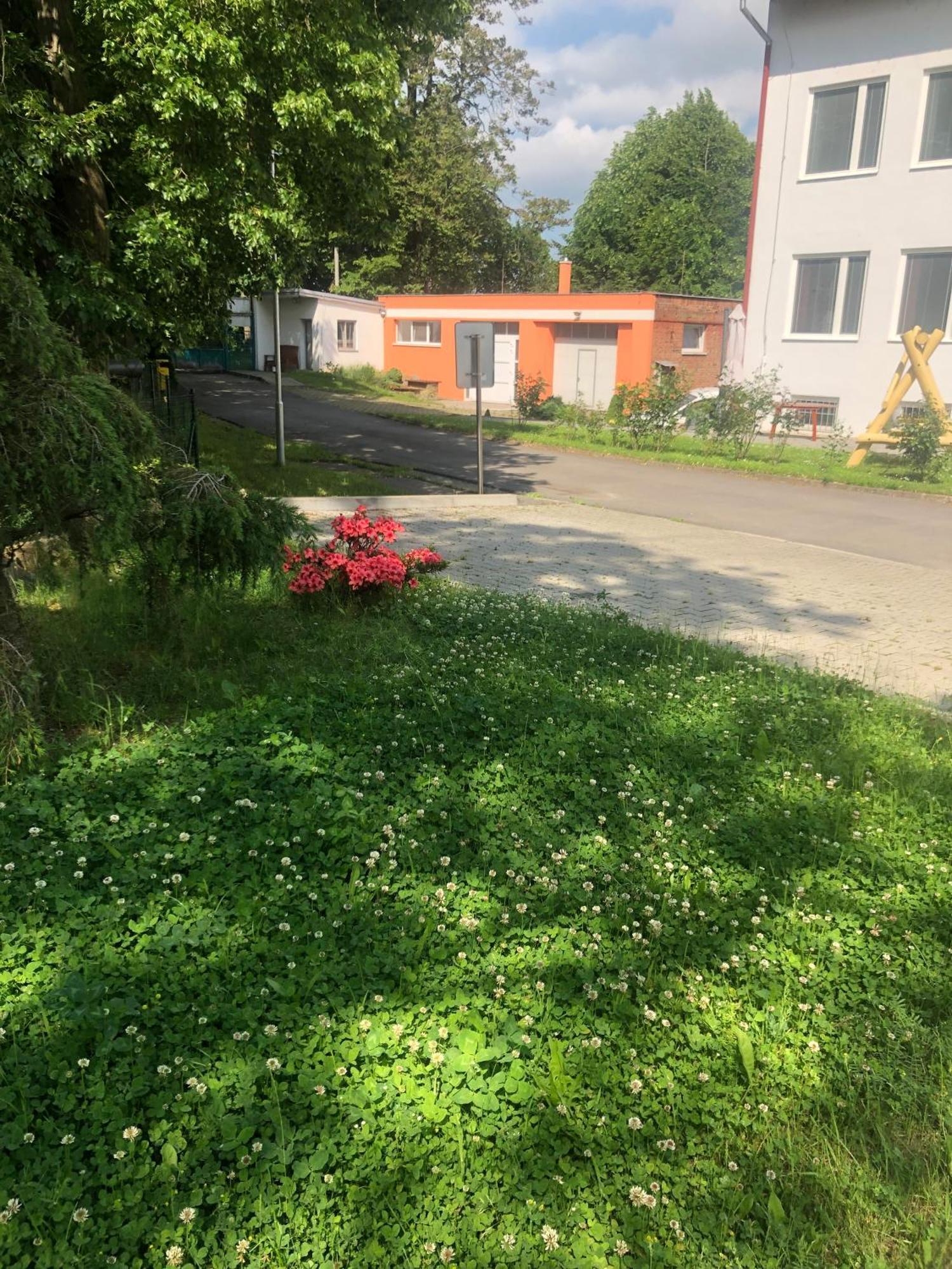 Dnm Inn Korycany Buitenkant foto